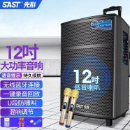 SAST 先科ST1509移动拉杆户外音响大功率蓝牙广场舞音箱15英寸重低音KTV SA-122标配12吋+双话筒+32gU盘