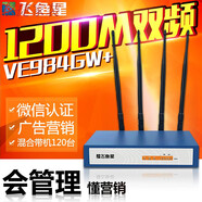 XMSJVOLANS/飞鱼星 VE984GW大功率企业级无线路由器穿墙王千定制 兆路由 飞