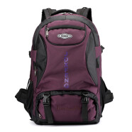 丛林鸟 新款休闲旅行超大容量双肩背包65升男女款行李包防水户外运动登山包 紫色