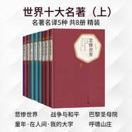 世界十大名著上套装共5种8册 悲惨世界 战争与和平 巴黎圣母院 童年·在人间·我的大学