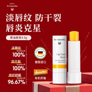 德国世家（Dr.Hauschka）黄油润唇膏4.9g淡唇纹补水修护锁水防干裂有机药植唇膜520礼物