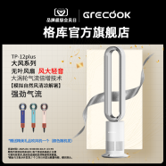 格库（GRECOOK）Air无叶风扇电风扇落地风扇空气循环扇空气净化静音立式家用节能电扇台式无扇叶除菌除甲醛 TP-12plus无叶风扇+室内循环(白银色)