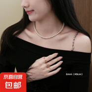 正品澳白施家珍珠项链女款秋冬新款锁骨链轻奢小众颈链毛衣链正圆 澳白6MM 40+5cm延长链款