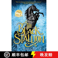 【4周达】The Black Stallion