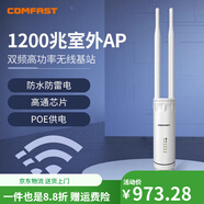 COMFAST双频千兆无线室外AP大功率1200M高速户外路由器WiFi农村基站覆盖防雷防晒雨POE供电API接口 双频1200M室外AP 套餐一
