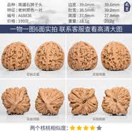 DL 1998南疆石核桃文玩核桃一物一图全品无修涿鹿逐鹿小手捻狮 A68836 老树原色南疆石狮子头39m