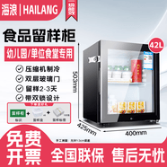 海浪食品留样柜幼儿园学校餐厅食堂留样小冰箱茶叶饮料小型冷藏展示柜带锁 42升双锁 留样2-3天 压缩机制冷
