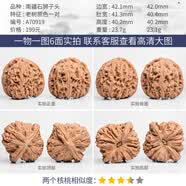 DL 1998南疆石核桃文玩一物一图全品无修涿鹿逐鹿小手捻狮子头 A70919 老树原色南疆石狮子头42m