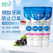 花王（KAO）日本进口 亮白牙膏115g*3预防牙周防口臭长效杀菌 黑加仑味