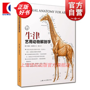 【可选】牛津艺用人体解剖学/牛津艺用动物解剖学 西方经典美术技法译丛 牛津大学出版社授权中文版 上海人民美术出版社 牛津艺用动物解剖学