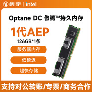 英特尔（inte）Optane DC 傲腾™持久内存 企业级服务器数据中心 持久内存模块 服务器配件 Optane 傲腾™持久内存（1代AEP） 128GB 1条