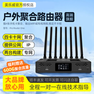 MAGEWELL美乐威 5G聚合路由器Pro Router One 10网多聚合户外直播推流抖音户外直播视频会议公网专 聚合路由器+ 2节F970电池+ 600G聚合流量