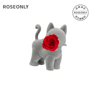 諾誓ROSEONLY永生花玫瑰花嘻嘻猫拾花版小号红色生日女友圣诞礼物