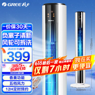 格力（GREE） 家用塔扇负离子节能电风扇遥控定时落地扇摇头无叶风扇 FL-09X62Bhc遥控款