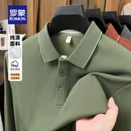 罗蒙（ROMON）抗皱长袖t恤男春夏款中青年商务休闲撞色翻领高端POLO打底衫上衣 绿色 XL 180 （建议135-155斤）