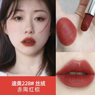 大牌迪口红奥999哑光720丝绒772正品740 888 840 228唇膏生日礼物 丝绒228赤陶红棕