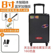 浪庭8寸户外蓝牙拉杆音箱话筒大功率广场舞低音炮K歌叫卖音响 8寸加强蓝牙版+1话筒+16G优盘