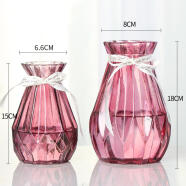神瓶八玻玻璃干花透明花瓶欧式水培绿萝植物客厅摆件百合插描口加高花瓶 水中花（18+15）暗红组合