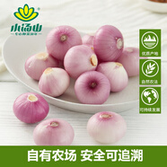 小汤山 迷你洋葱 250g 基地直供新鲜蔬菜安全可追溯