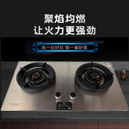 大臣燃气灶211大火力加厚不锈钢面板JZT-DC02B家用灶具 天然气