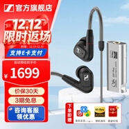 森海塞尔（Sennheiser）IE300/IE200/IE600/IE900 有线耳机旗舰级HiFi音乐高保真动圈入耳式耳挂耳塞中秋节国庆节生日礼物 IE300+山灵UA1 Plus小尾巴