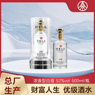 五粮浓香总厂生产 五粮液财富人生 52度浓香型白酒礼盒 春节送礼粮食喜酒 52度 500mL 2瓶 礼盒装 珍酿
