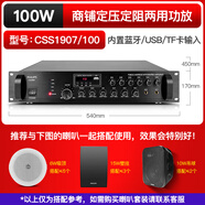 先科9016分区功放机蓝牙音箱喇叭定阻定压家用音响可插卡小公放器 飞利浦/100W六分区调音功放