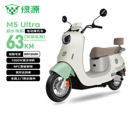 绿源（Luyuan）电动摩托车 M5ultra【5块铅酸电池-续航63km-1000W电机】27L大座桶家庭代步车 绿