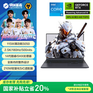 机械革命极光 X 酷睿i5HX 游戏本笔记本电脑(i5-14450HX 16G 512G RTX5050 2.5K屏 180Hz 灰)