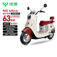 绿源（Luyuan）电动摩托车 M5ultra【5块铅酸电池-续航63km-1000W电机】27L大座桶代步车 红