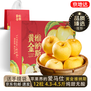 京地达烟台黄金维纳斯苹果礼盒 4.5斤+12粒中大果新鲜水果源头直发包邮