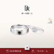 DR现货铂金钻戒BELIEVE雪吻 结婚钻石戒指告白纪念日节日礼物 雪吻*6分H色SI1+黑骑士9分