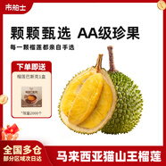 市舶士马来西亚猫山王榴莲D197整果树熟液氮冷冻榴莲进口水果礼盒 【保底5房】AA级珍品 3.6-4.0斤