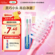 狮王（Lion）细齿洁0.01晶彩牙刷2支软毛小巧刷头细致护龈呵护口腔家庭装