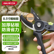 得力（deli）修枝剪刀树枝剪 防滑砧板果树剪花枝剪盆栽花卉园林园艺修枝神器