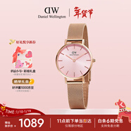 丹尼尔惠灵顿（DanielWellington）DW女士手表轻奢流金小众石英钢带欧美女款腕表生日新年礼物送女生