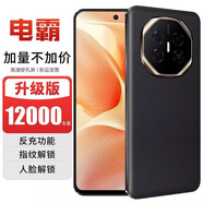 誉品（YEPEN）2025新款7.2英寸原装超清屏正品512内存全面屏大屏全网通国行快充人脸指纹特价 电霸200 黑色 12000电池 16G运行 128GB