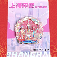 上海冰箱贴东方明珠外滩复旦大学城市旅游纪念品文创冰箱贴 合金上海流沙款-粉色