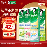 好来(原黑人)白鹿同款双重薄荷茶倍健清新牙膏轻口气防蛀固齿660g