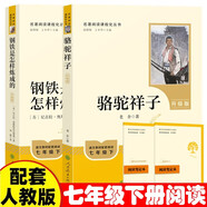 骆驼祥子+钢铁是怎样炼成的  七年级下册必读名著人教版【套装2册】与26春新版初中语文教材配套使用人民教育出版社初一语文教材配套阅读
