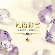 步步生莲天然真花玫瑰超仙超长耳环11cm渐变水晶流苏新中式耳坠女新款爆款 耳夹定制款