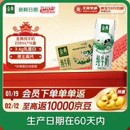 伊利【新鲜日期】金典纯牛奶早餐奶整箱250ml*16盒 3.6g乳蛋白 礼盒装