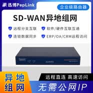 PePLink SD-WAN异地组网远程桌面 远程办公 异地监控  文件共享 分支互联 路由器 ES1201