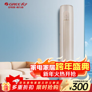 格力（GREE）云逸-Ⅱ 新能效  冷暖柜机 云逸 三级能效 2匹