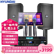 HYUNDAI现代 家庭影院ktv音响套装电脑电视客厅家用k歌点歌卡拉ok全套专业功放音箱设备 【豪华版】10吋专业音响套装