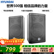 HYUNDAI现代音响 音箱 家庭影院 KTV音响 家用组合 专业K歌 会议 舞台设备 【BK10】10英寸二分频专业竖箱