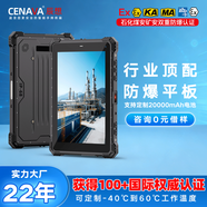 CENAVA 辰想 W10N煤安认证三防平板电脑10英寸工业win10系统定制5G工厂mes物流仓储N5100 8+128G高分高亮