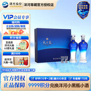 洋河蓝色经典 天之蓝 口感绵柔浓香型白酒 46度 480mL 2瓶 礼盒装