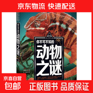 少年探索发现系列全12册 你不可不知的世界未解之谜宇宙未解之谜少儿科普书籍  中小学生课外阅读书 儿童科普百科全书 中国世界未解之谜 动物之谜