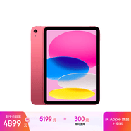 Apple/苹果 iPad11英寸 A16芯片2025年款 平板电脑 (512GB WLAN版/学习办公娱乐)粉色